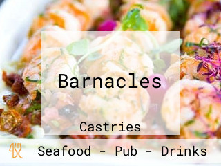 Barnacles