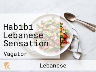 Habibi Lebanese Sensation