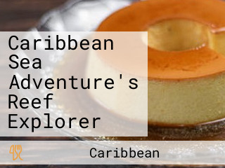 Caribbean Sea Adventure's Reef Explorer